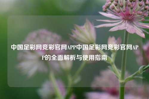 中国足彩网竞彩官网APP中国足彩网竞彩官网APP的全面解析与使用指南
