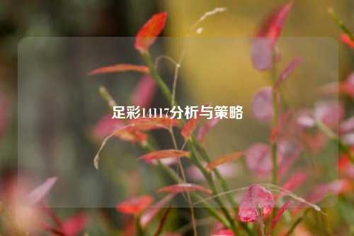 足彩14117分析与策略