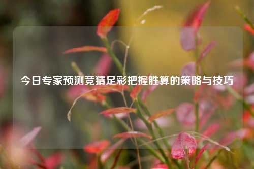 今日专家预测竞猜足彩把握胜算的策略与技巧