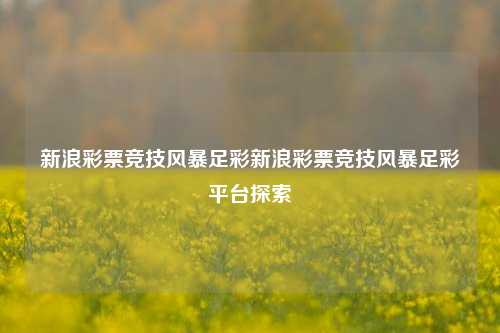 新浪彩票竞技风暴足彩新浪彩票竞技风暴足彩平台探索
