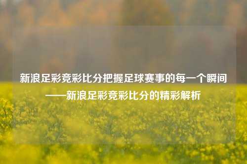 新浪足彩竞彩比分把握足球赛事的每一个瞬间——新浪足彩竞彩比分的精彩解析