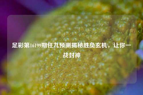 足彩第16199期任九预测揭秘胜负玄机，让你一战封神