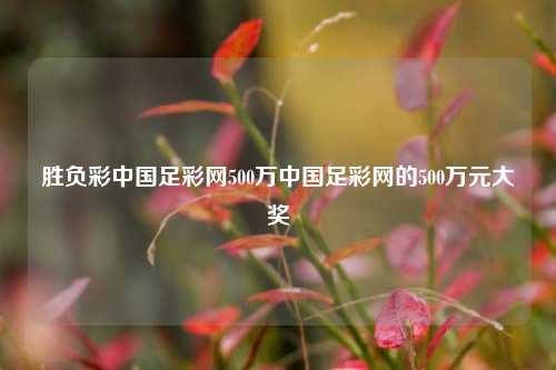 胜负彩中国足彩网500万中国足彩网的500万元大奖
