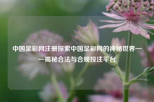 中国足彩网注册探索中国足彩网的神秘世界——揭秘合法与合规投注平台