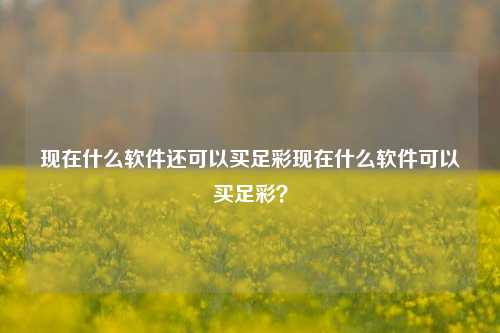 现在什么软件还可以买足彩现在什么软件可以买足彩？
