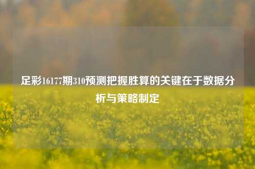 足彩16177期310预测把握胜算的关键在于数据分析与策略制定