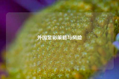 外国足彩策略与风险