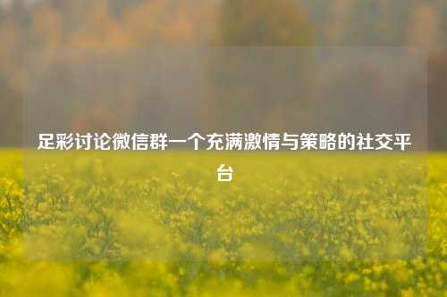 足彩讨论微信群一个充满激情与策略的社交平台