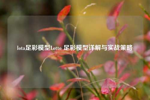 lota足彩模型Lotto 足彩模型详解与实战策略