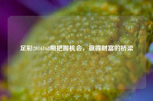 足彩2016168期把握机会，赢得财富的桥梁