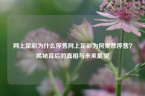 网上足彩为什么停售网上足彩为何突然停售？揭秘背后的真相与未来展望