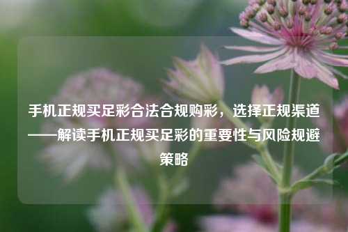 手机正规买足彩合法合规购彩，选择正规渠道——解读手机正规买足彩的重要性与风险规避策略