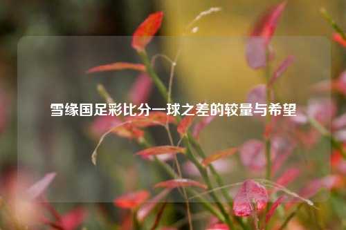 雪缘国足彩比分一球之差的较量与希望