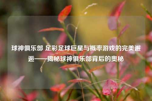 球神俱乐部 足彩足球巨星与概率游戏的完美邂逅——揭秘球神俱乐部背后的奥秘
