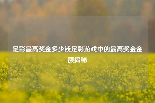 足彩最高奖金多少钱足彩游戏中的最高奖金金额揭秘