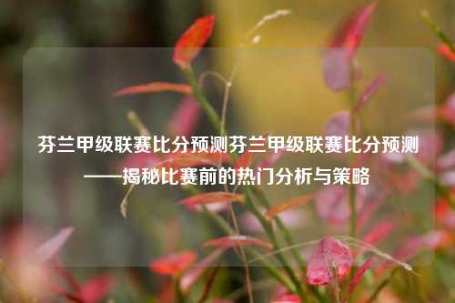 芬兰甲级联赛比分预测芬兰甲级联赛比分预测——揭秘比赛前的热门分析与策略