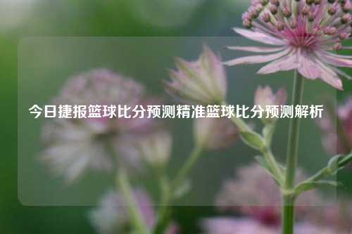 今日捷报篮球比分预测精准篮球比分预测解析