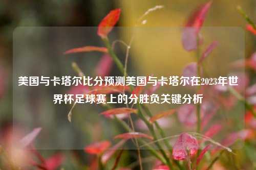美国与卡塔尔比分预测美国与卡塔尔在2023年世界杯足球赛上的分胜负关键分析