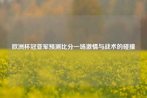 欧洲杯冠亚军预测比分一场激情与战术的碰撞