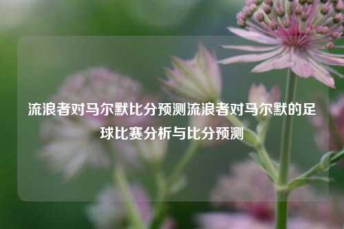 流浪者对马尔默比分预测流浪者对马尔默的足球比赛分析与比分预测