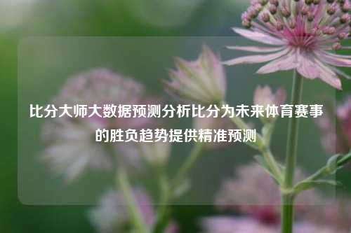 比分大师大数据预测分析比分为未来体育赛事的胜负趋势提供精准预测