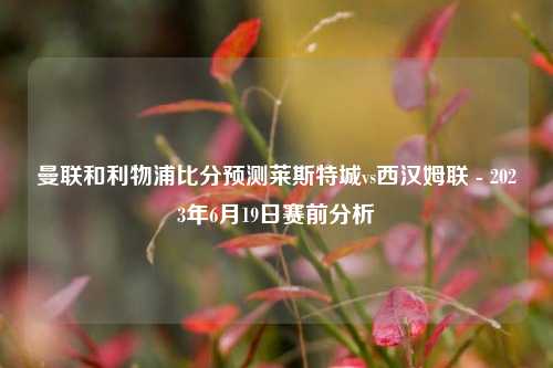 曼联和利物浦比分预测莱斯特城vs西汉姆联 - 2023年6月19日赛前分析