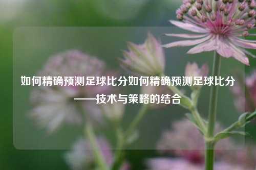 如何精确预测足球比分如何精确预测足球比分——技术与策略的结合