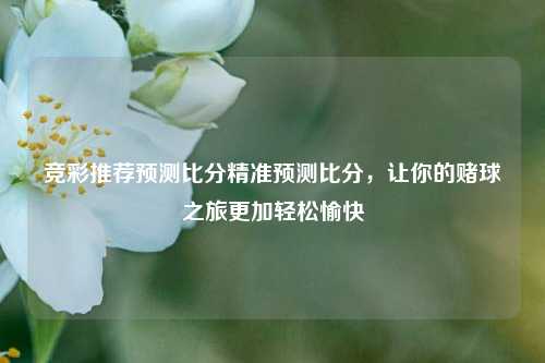 竞彩推荐预测比分精准预测比分，让你的赌球之旅更加轻松愉快