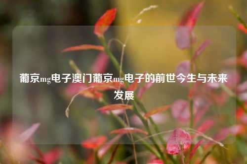 葡京mg电子澳门葡京mg电子的前世今生与未来发展