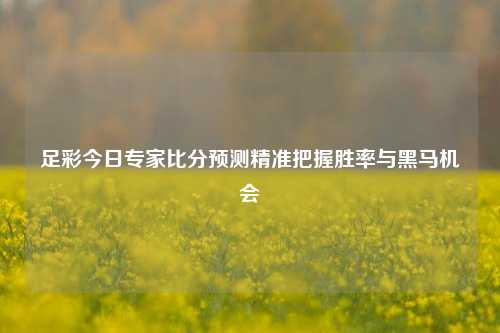 足彩今日专家比分预测精准把握胜率与黑马机会