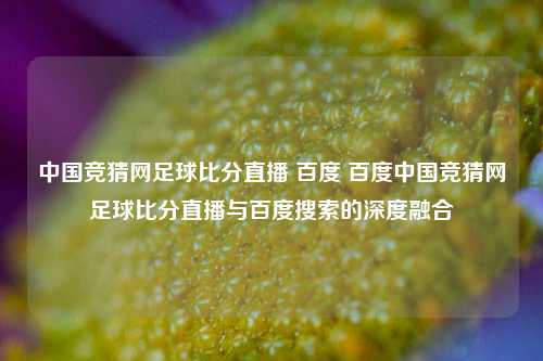 中国竞猜网足球比分直播 百度 百度中国竞猜网足球比分直播与百度搜索的深度融合