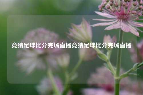 竞猜足球比分完场直播竞猜足球比分完场直播