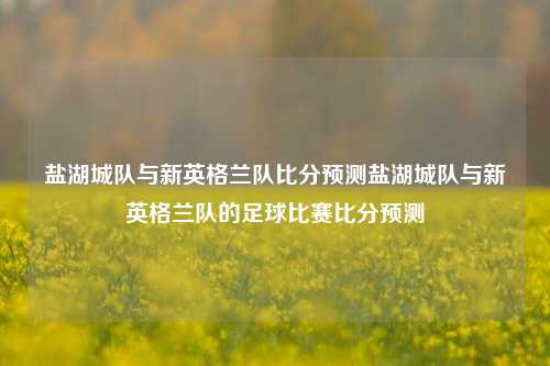 盐湖城队与新英格兰队比分预测盐湖城队与新英格兰队的足球比赛比分预测