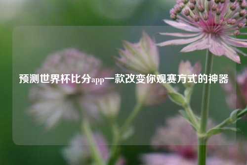 预测世界杯比分app一款改变你观赛方式的神器