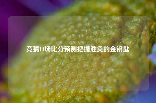 竞猜14场比分预测把握胜负的金钥匙