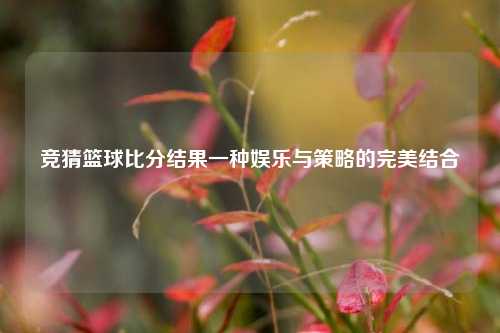 竞猜篮球比分结果一种娱乐与策略的完美结合