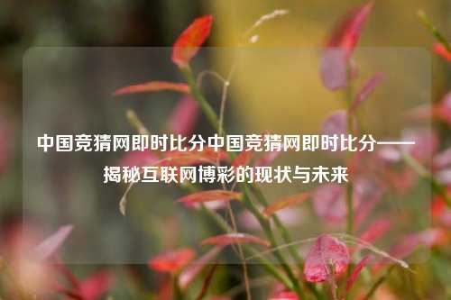 中国竞猜网即时比分中国竞猜网即时比分——揭秘互联网博彩的现状与未来