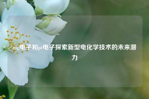 mg电子和pt电子探索新型电化学技术的未来潜力
