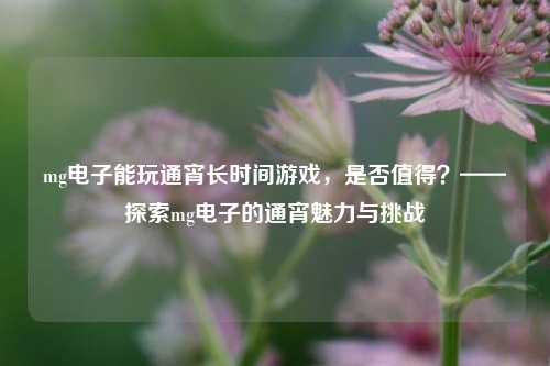 mg电子能玩通宵长时间游戏，是否值得？——探索mg电子的通宵魅力与挑战