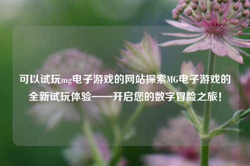 可以试玩mg电子游戏的网站探索MG电子游戏的全新试玩体验——开启您的数字冒险之旅！
