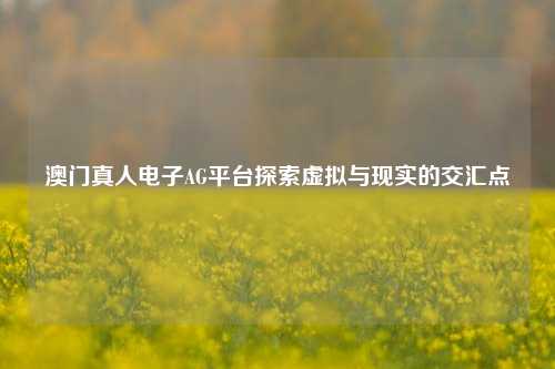 澳门真人电子AG平台探索虚拟与现实的交汇点