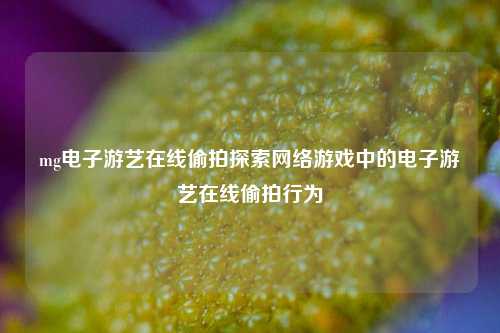 mg电子游艺在线偷拍探索网络游戏中的电子游艺在线偷拍行为