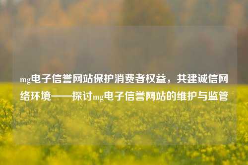 mg电子信誉网站保护消费者权益，共建诚信网络环境——探讨mg电子信誉网站的维护与监管