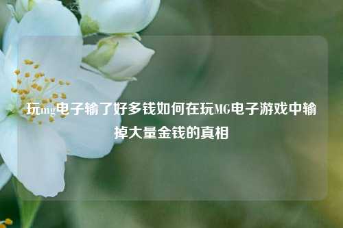 玩mg电子输了好多钱如何在玩MG电子游戏中输掉大量金钱的真相