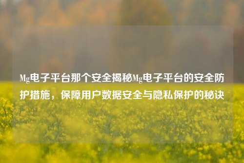 Mg电子平台那个安全揭秘Mg电子平台的安全防护措施，保障用户数据安全与隐私保护的秘诀