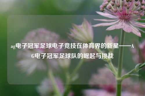 ag电子冠军足球电子竞技在体育界的新星——AG电子冠军足球队的崛起与挑战