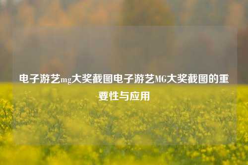 电子游艺mg大奖截图电子游艺MG大奖截图的重要性与应用