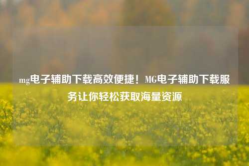 mg电子辅助下载高效便捷！MG电子辅助下载服务让你轻松获取海量资源