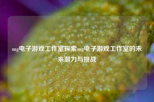 mg电子游戏工作室探索mg电子游戏工作室的未来潜力与挑战