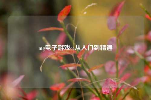 mg电子游戏cc从入门到精通